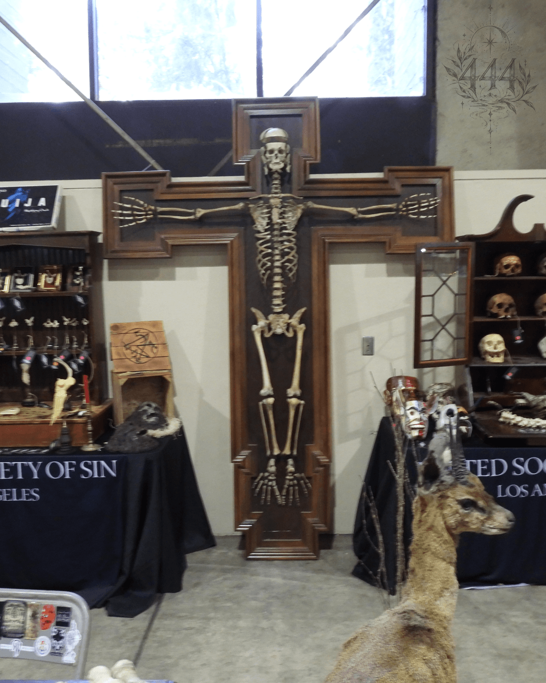 444 TATTOO Skeleton display on a wooden cross among curiosities, with a 444 design in the upper-right corner